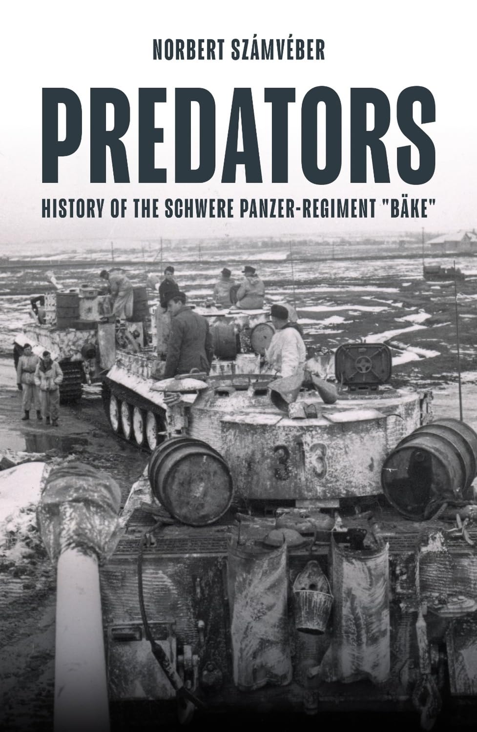 Predators: History of the schwere Panzer-Regiment Bke, January-February 1944