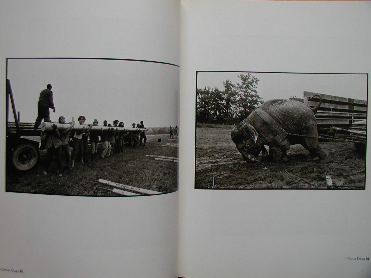 Circus Days by Freedman, Jill