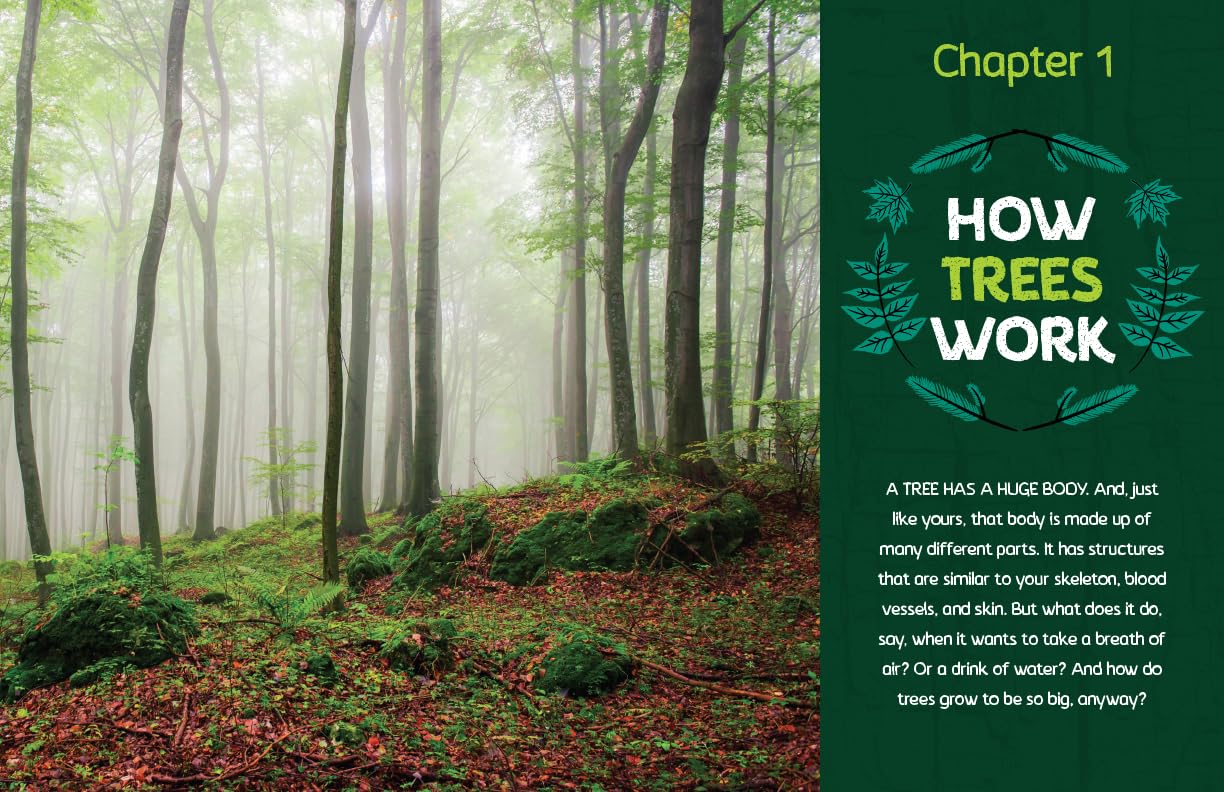 Can You Hear The Trees Talking?: Discovering the Hidden Life of the Forest