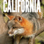 The Nature of California: An Introduction to Familiar Plants, Animals & Outstanding Natural Attractions (Waterford Press Field Guide)