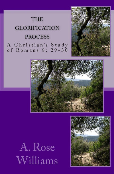 The Glorification Process: a Christian study of Romans 8: 29-30 (The Glory Series)