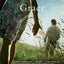 A Peculiar Grace: A Novel