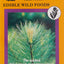 Edible Wild Foods Playing Cards (All Ages)