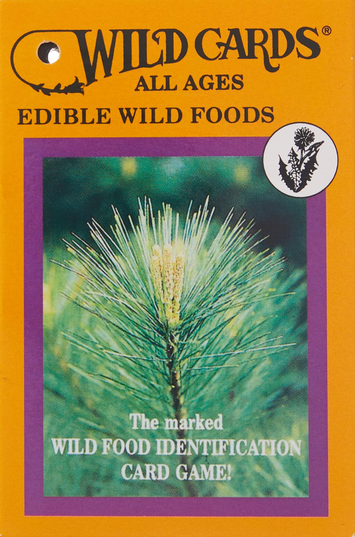 Edible Wild Foods Playing Cards (All Ages)