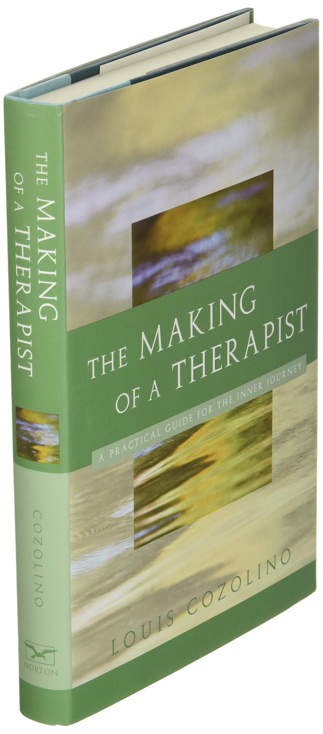 The Making of a Therapist (Norton Professional Books)