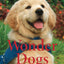 Wonder Dogs: True Stories of Extraordinary Assistance Dogs