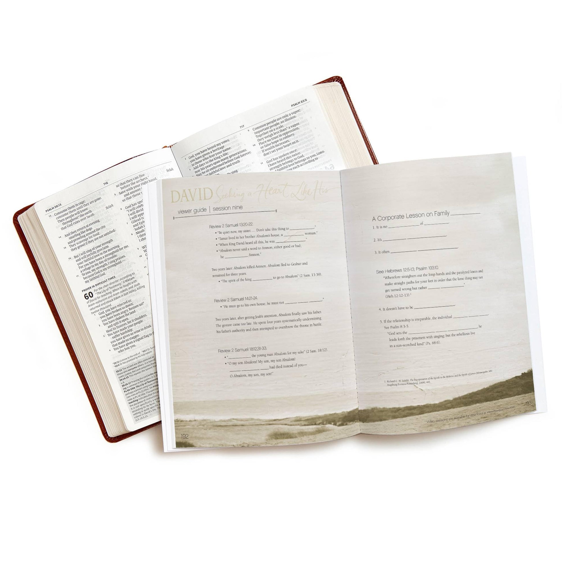 David - Bible Study Book (Updated Edition): Seeking a Heart Like His