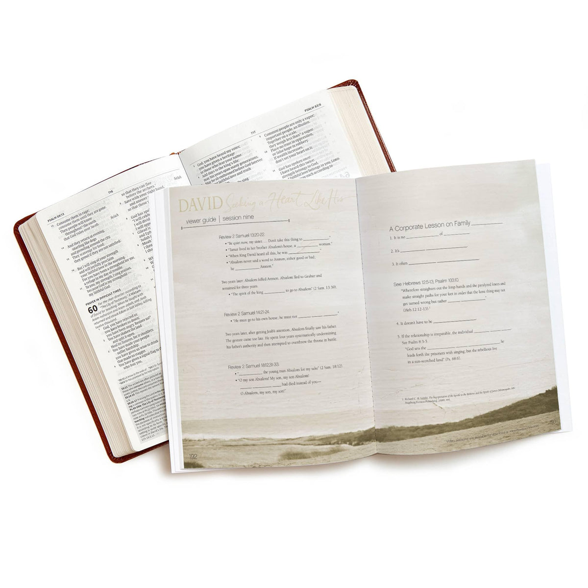 David - Bible Study Book (Updated Edition): Seeking a Heart Like His