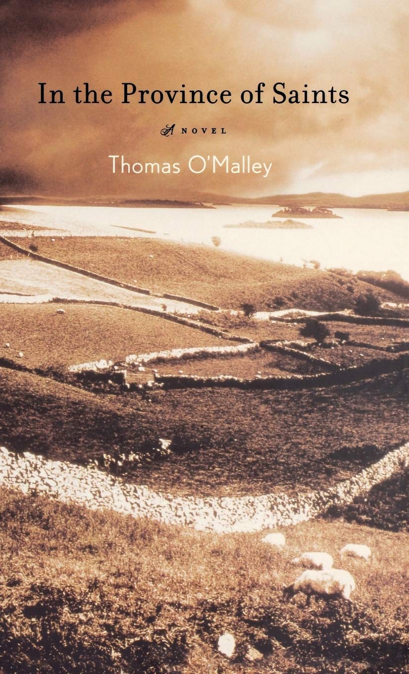 In the Province of Saints: A Novel