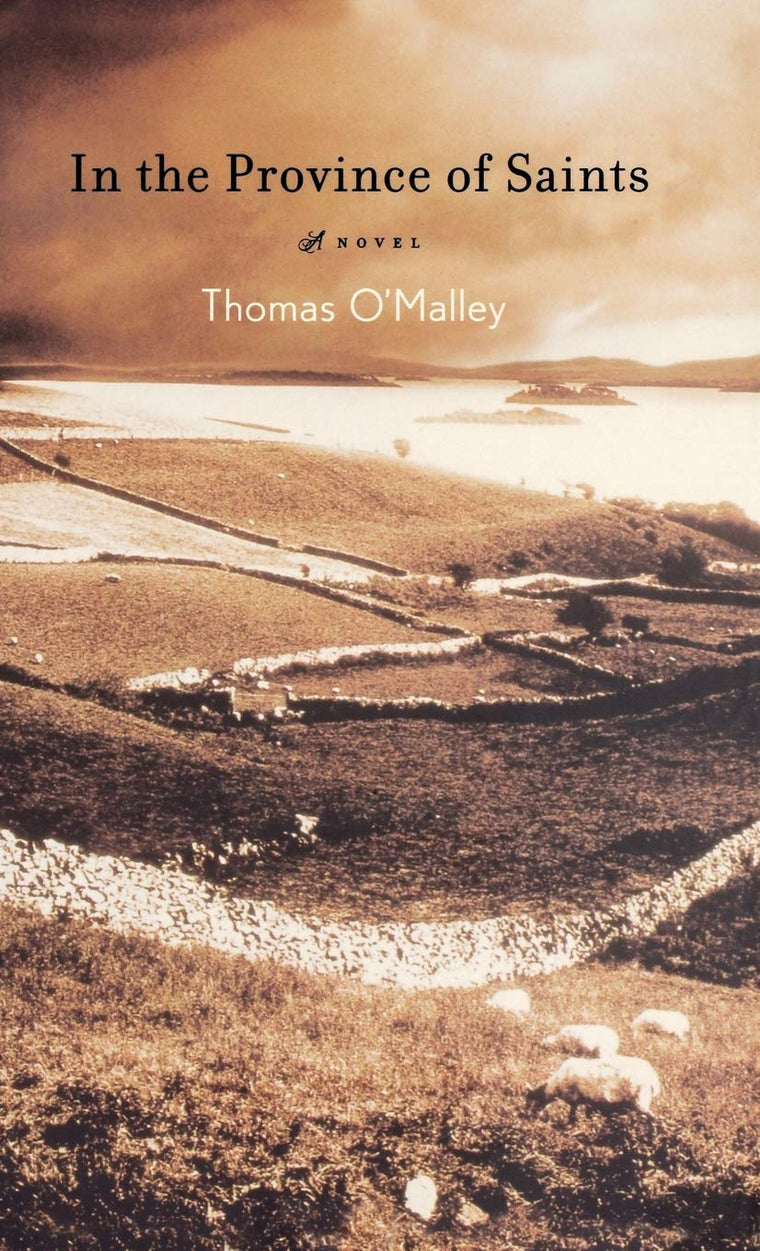In the Province of Saints: A Novel