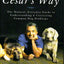 Cesar's Way: The Natural, Everyday Guide to Understanding and Correcting Common Dog Problems