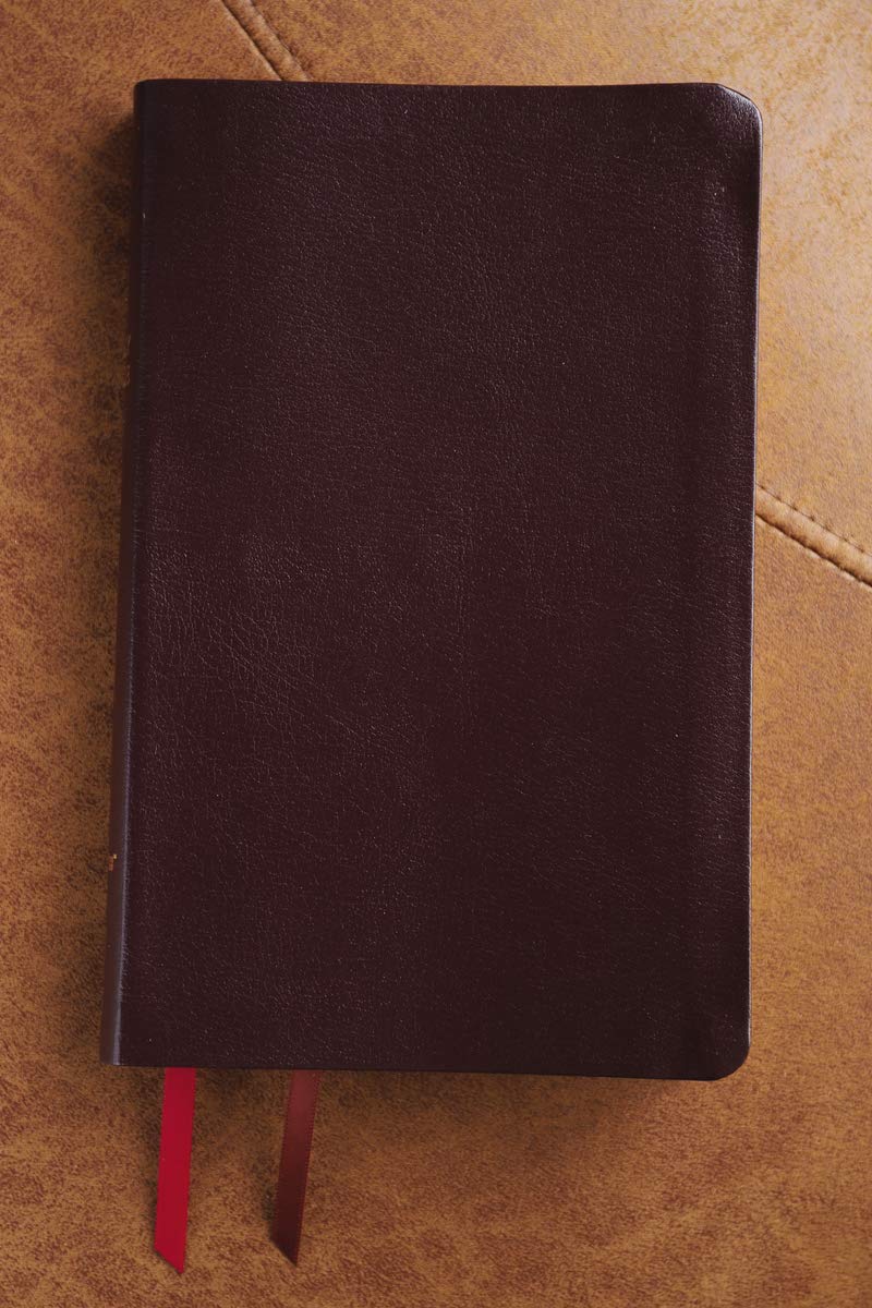 NIV, Thinline Bible, Bonded Leather, Burgundy, Red Letter, Thumb Indexed, Comfort Print