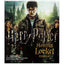 Harry Potter Locket Horcrux Kit and Sticker Book (Mega Mini Kits)