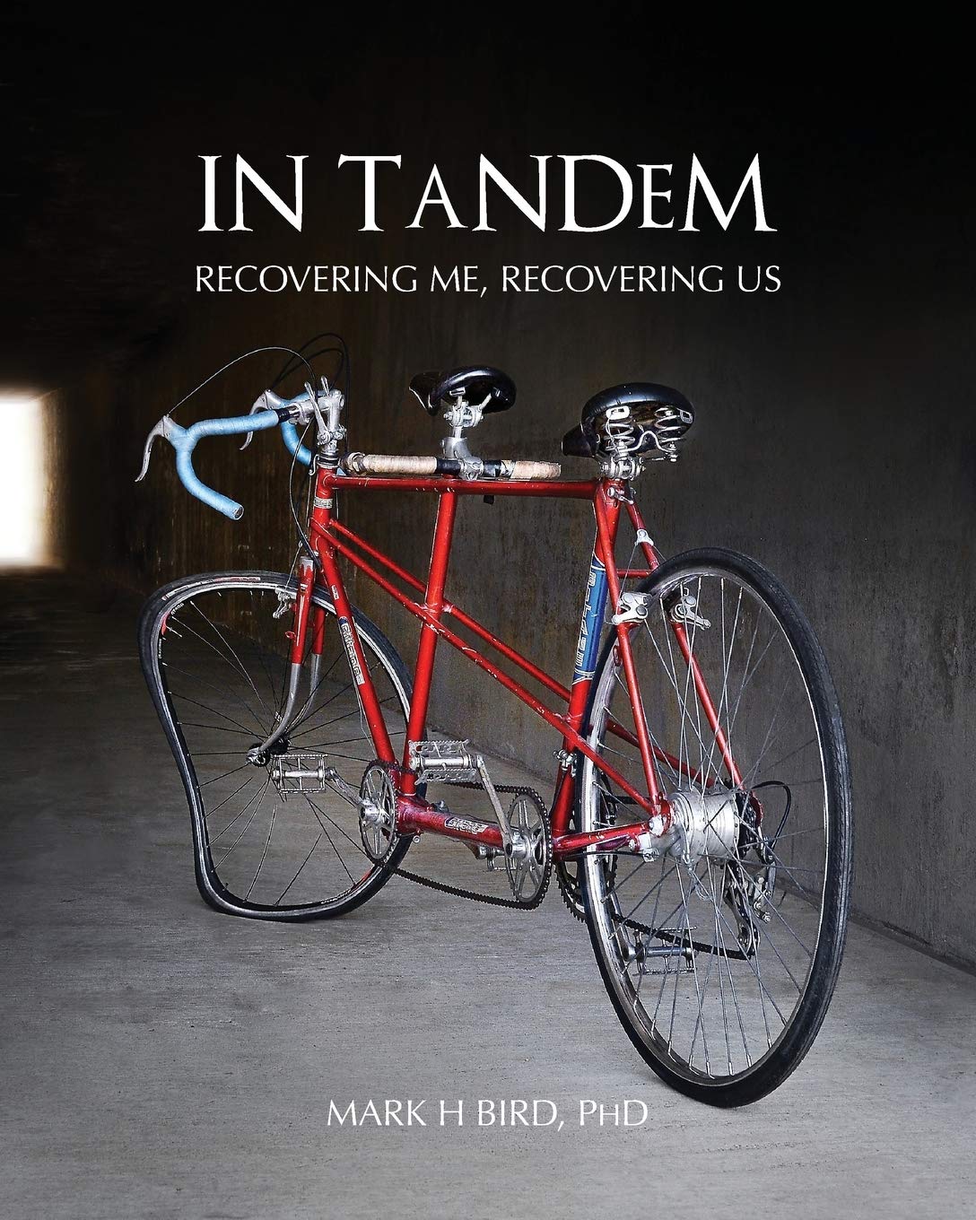 In Tandem: Recovering Me, Recovering Us