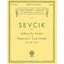 Shifting the Position and Preparatory Scale Studies, Op. 8: