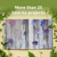 Floret Farm?s A Year in Flowers: Designing Gorgeous Arrangements for Every Season (Floret Farms x Chronicle Books)