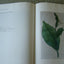 DRAWN FROM NATURE: The Botanical Art of Joseph Prestele and His Sons