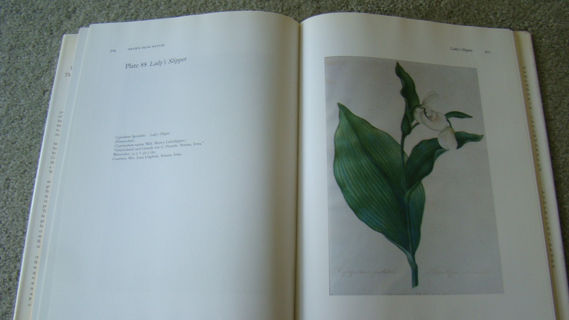 DRAWN FROM NATURE: The Botanical Art of Joseph Prestele and His Sons