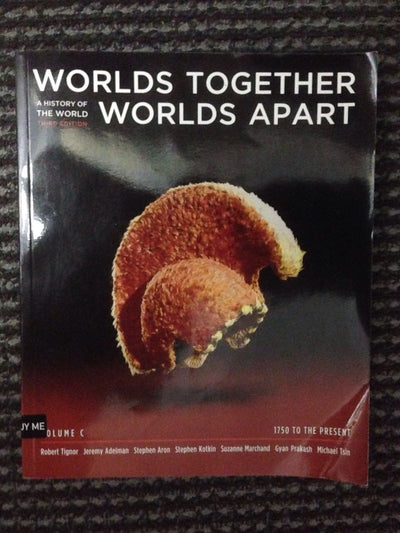 Worlds Together, Worlds Apart: A History of the World: 1750 to the Present
