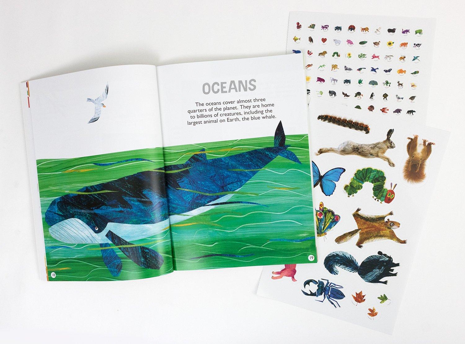 The World of Eric Carle My First Sticker Treasury (Deluxe Sticker Encyclopedia)