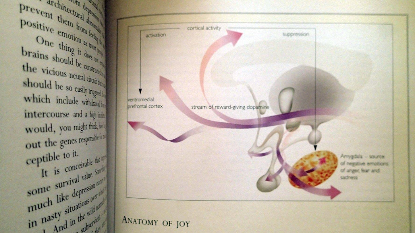 Mapping the Mind