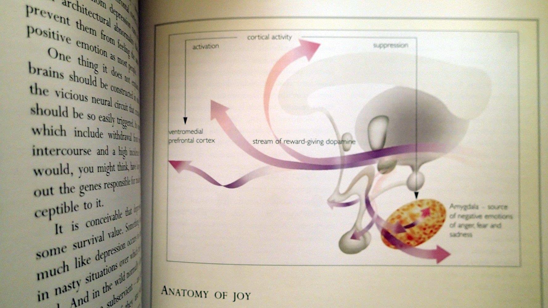 Mapping the Mind