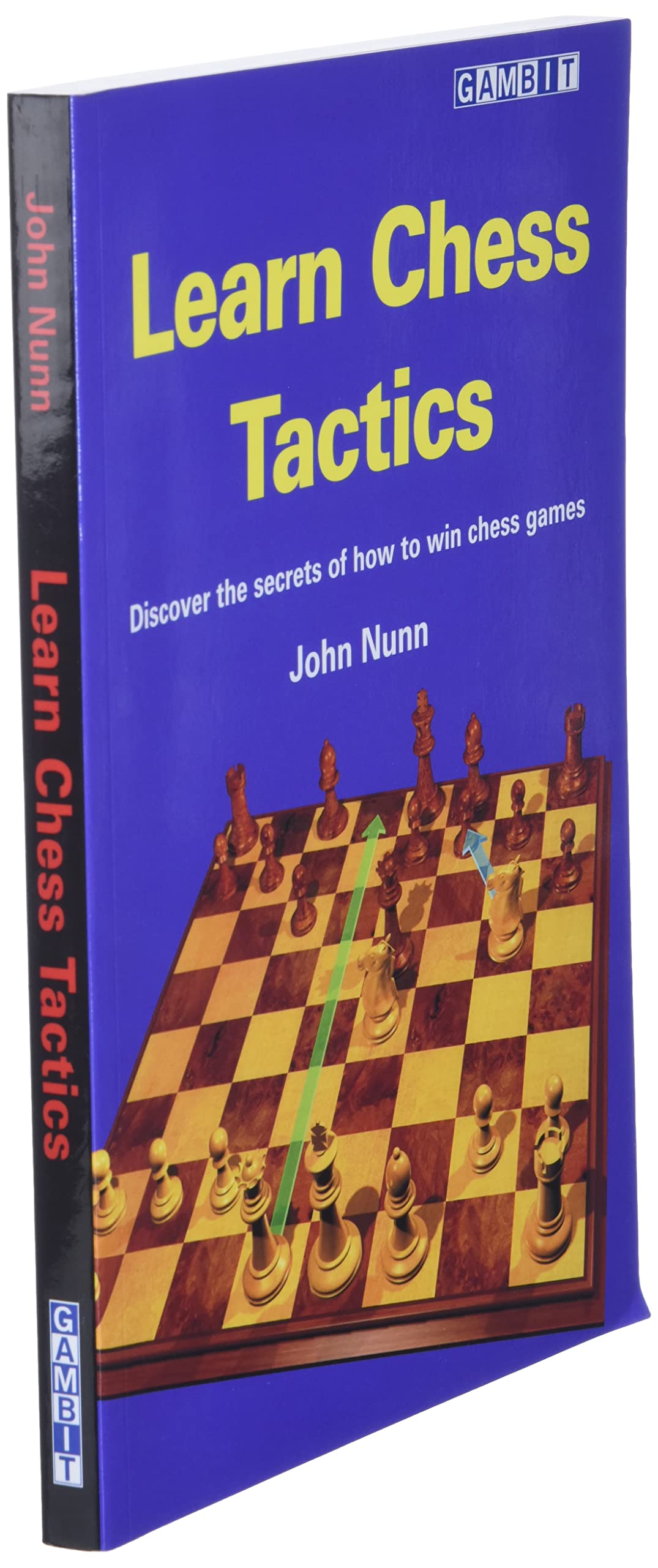 Learn Chess Tactics
