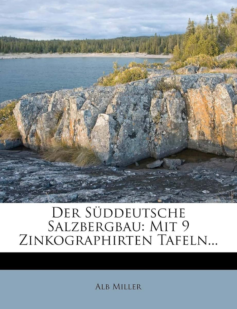 Der Suddeutsche Salzbergbau: Mit 9 Zinkographirten Tafeln...