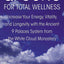 Qi Gong for Total Wellness: Increase Your Energy, Vitality, and Longevity with the Ancient 9 Palaces System from the White Cloud Monastery