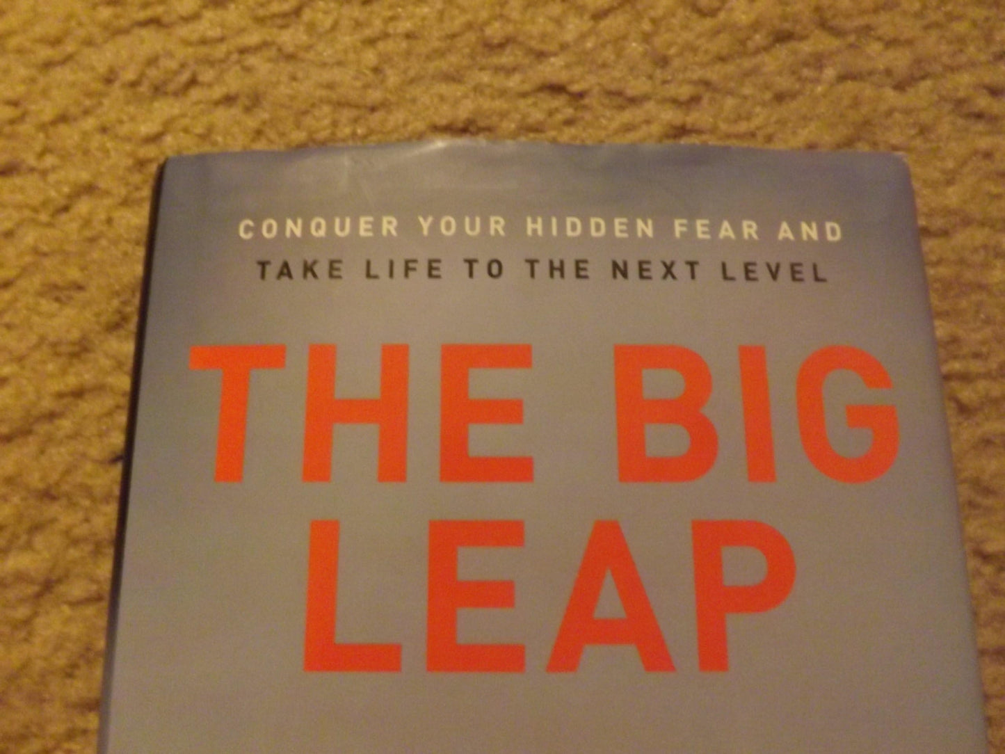 The Big Leap: Conquer Your Hidden Fear and Take Life to the