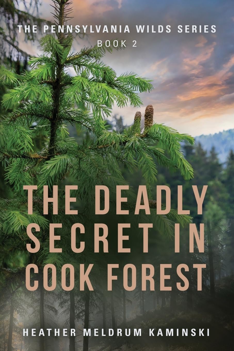 The Deadly Secret in Cook Forest: The Pennsylvania Wilds Series - Book 2