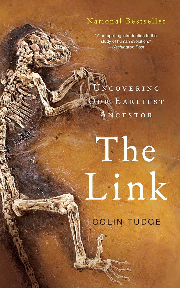 The Link