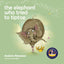 Elephant Who Tried To Tiptoe (The)