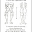 Your Health: A Corrective System of Exercising that Revolutionizes the Entire Field of Physical Education
