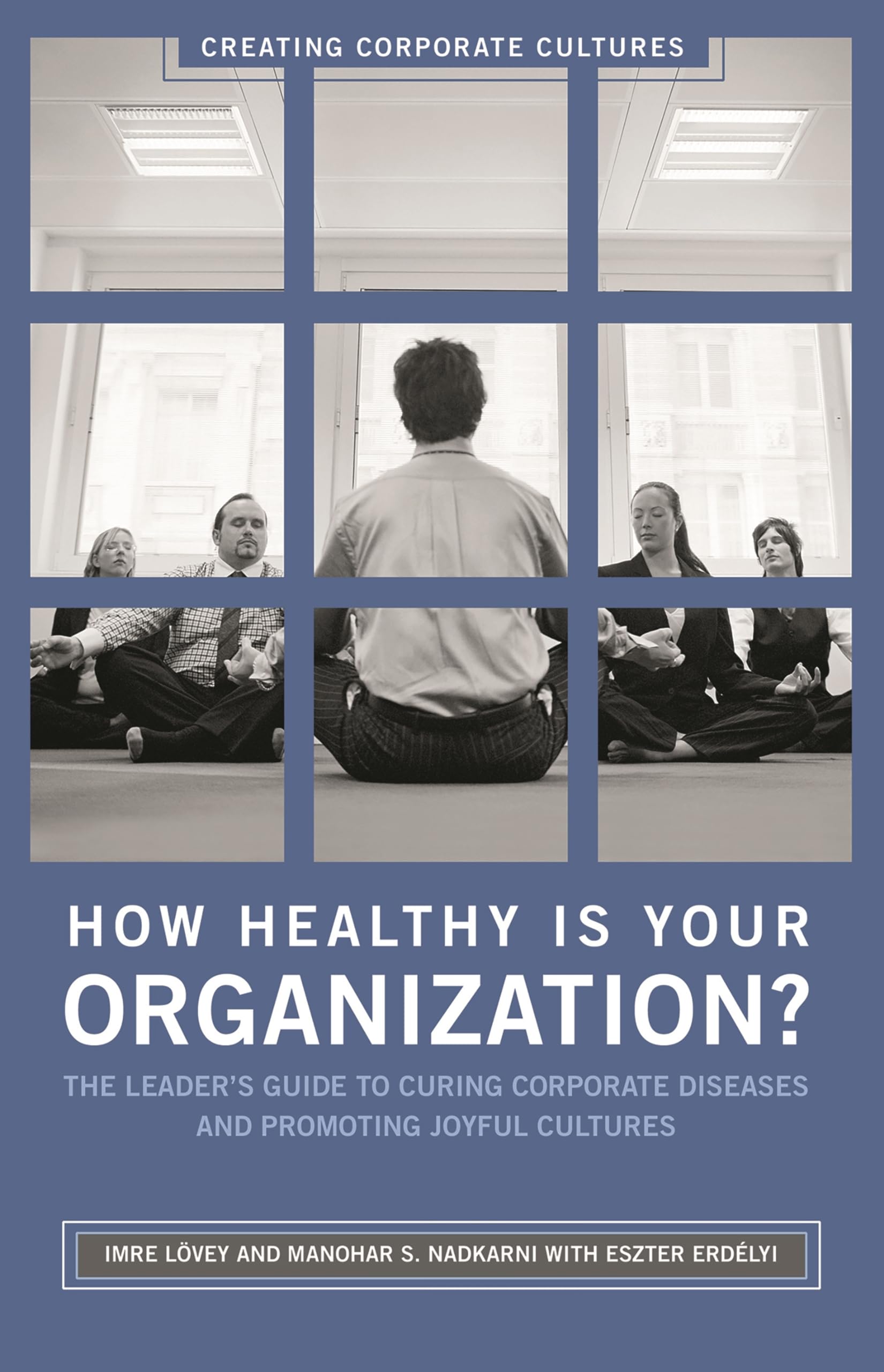 How Healthy Is Your Organization?: The Leader's Guide to Curing Corporate Diseases and Promoting Joyful Cultures (Creating Corporate Cultures)