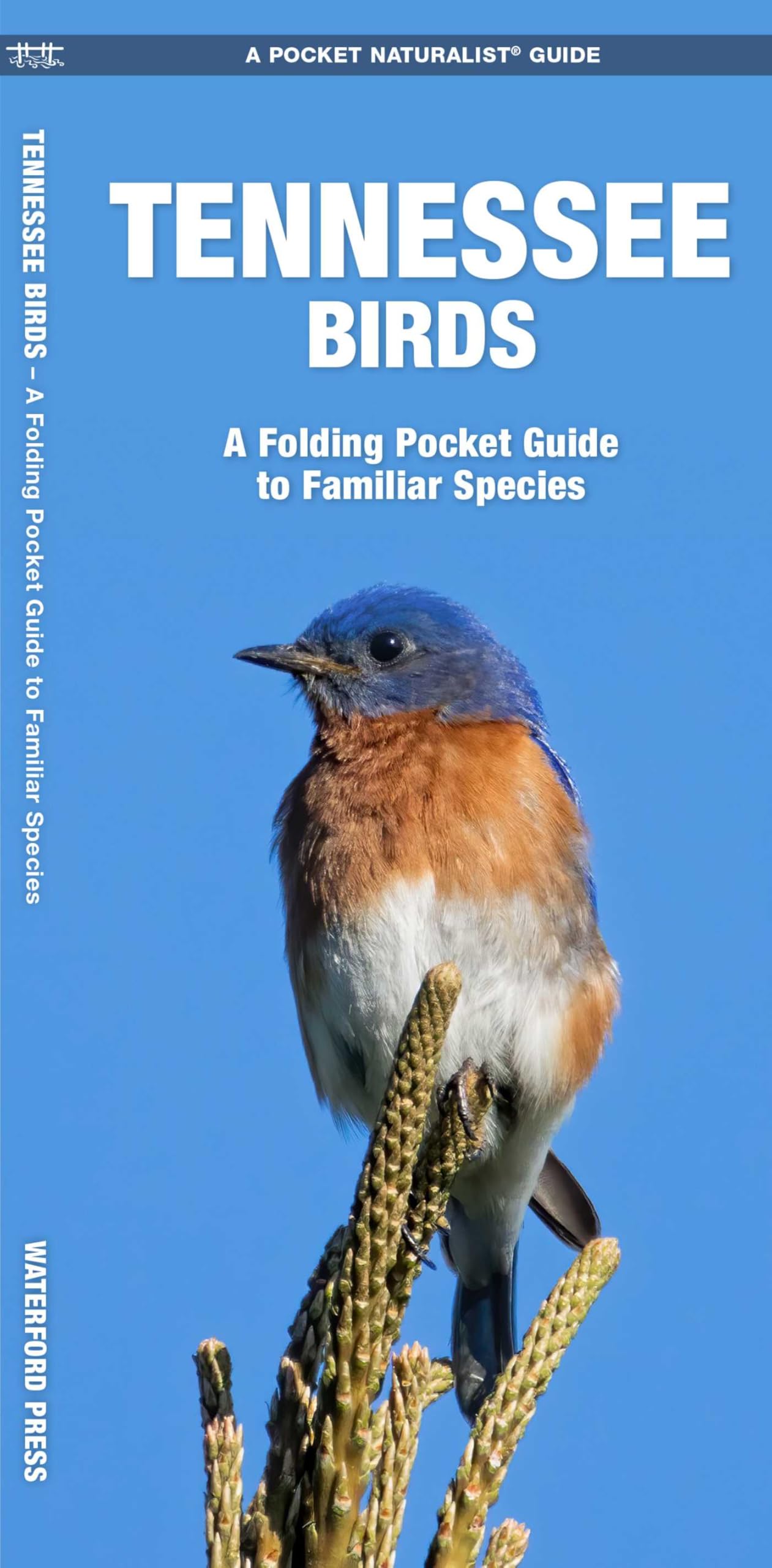 Tennessee Birds: A Folding Pocket Guide to Familiar Species (Nature Observation North America)