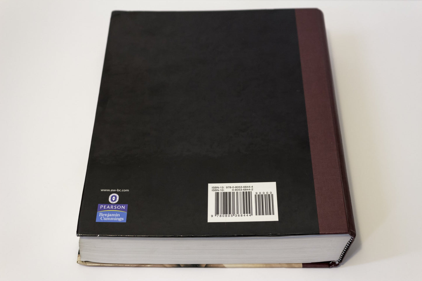 Biology, 8th Edition
