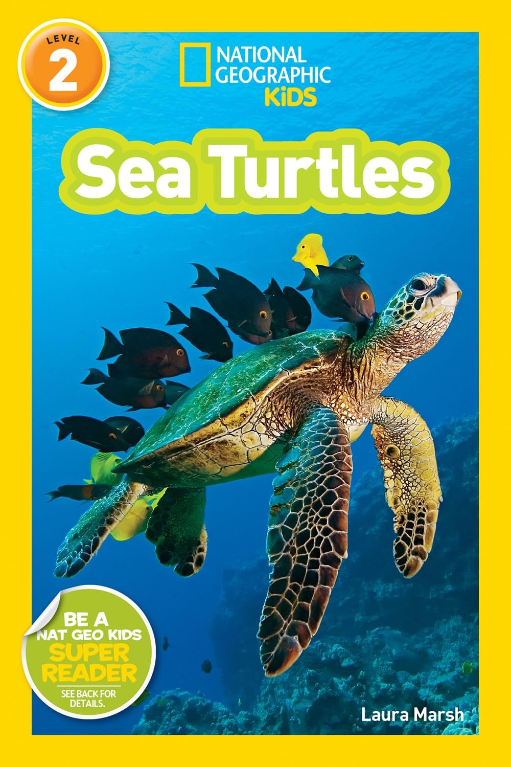 National Geographic Kids Ocean Life Six Book Set : Weird Sea
