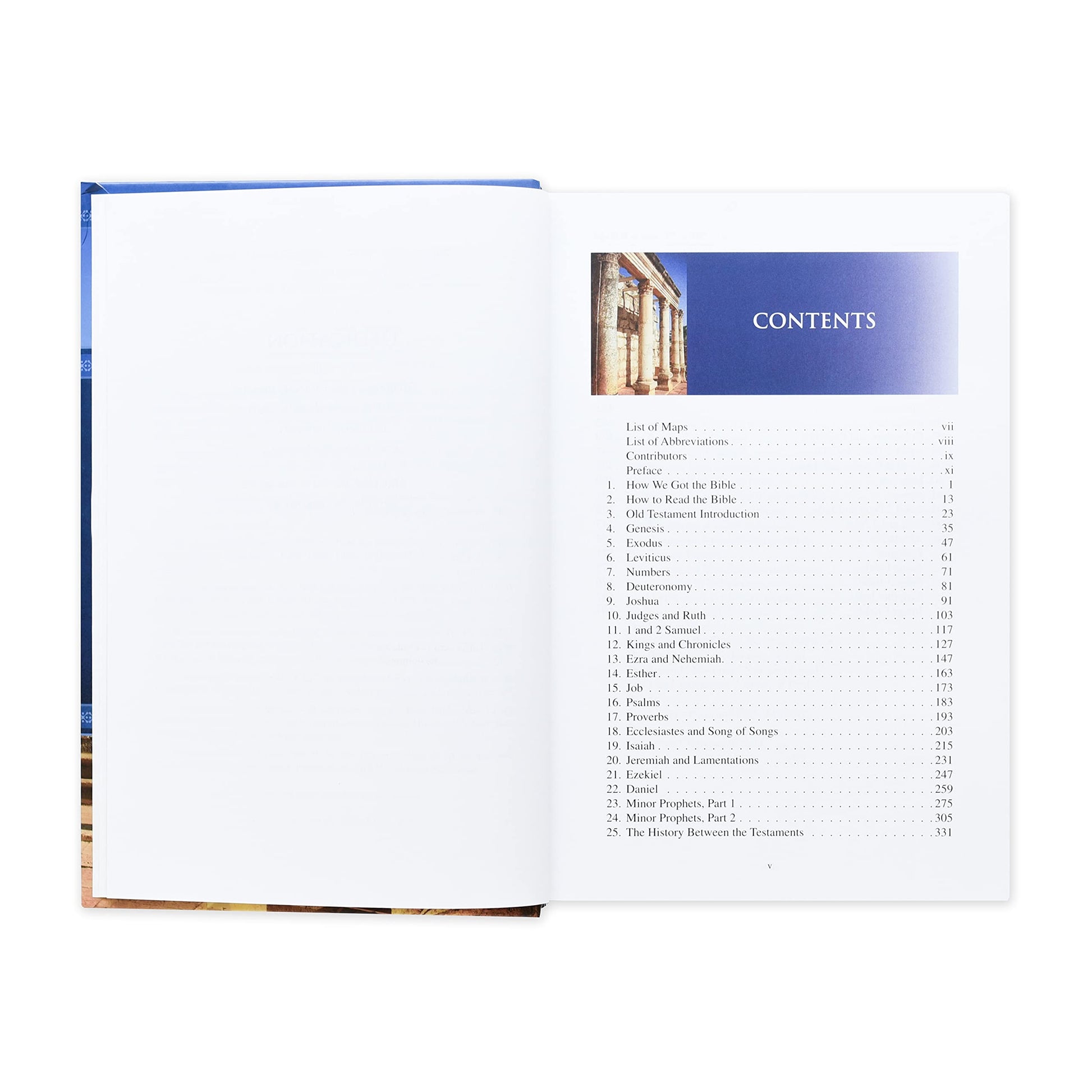 Illustrated Bible Survey: An Introduction