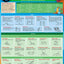 Geometry: A Quickstudy Laminated Reference Guide (Math Fundamentals, 3)