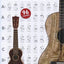 Alfred's Ukulele Chord Chart: A Chart of All the Basic Chords in Every Key, Chart