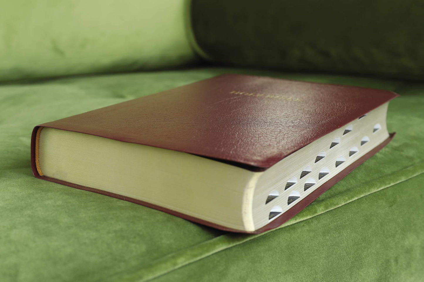 NIV, Reference Bible, Giant Print, Leather-Look, Burgundy, Red Letter, Thumb Indexed, Comfort Print