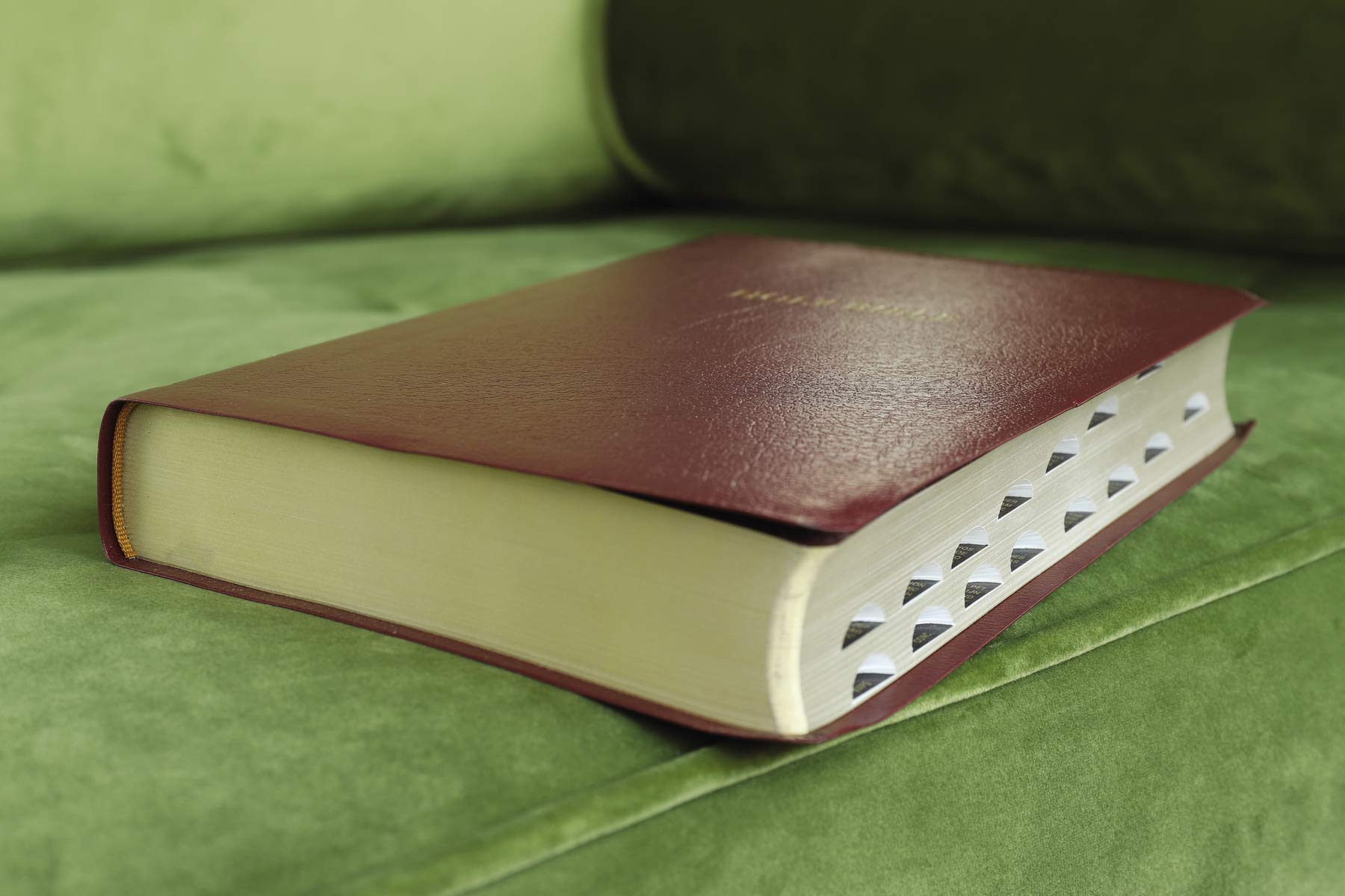 NIV, Reference Bible, Giant Print, Leather-Look, Burgundy, Red Letter, Thumb Indexed, Comfort Print