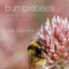 Bumblebees: Behaviour, Ecology, and Conservation