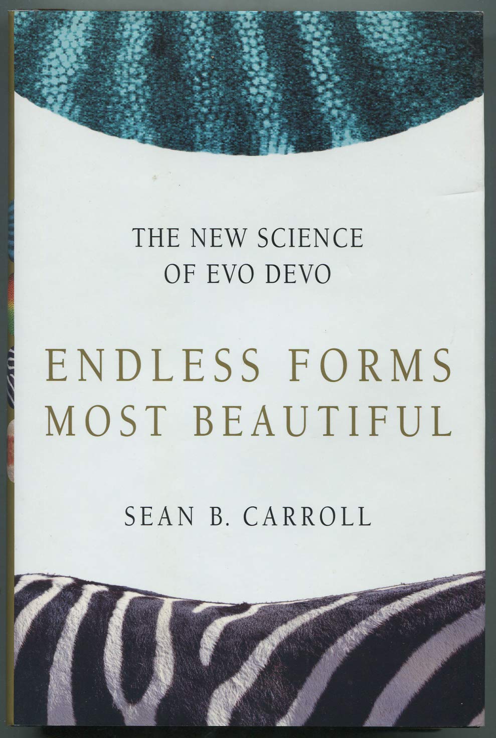 Endless Forms Most Beautiful: The New Science of Evo Devo