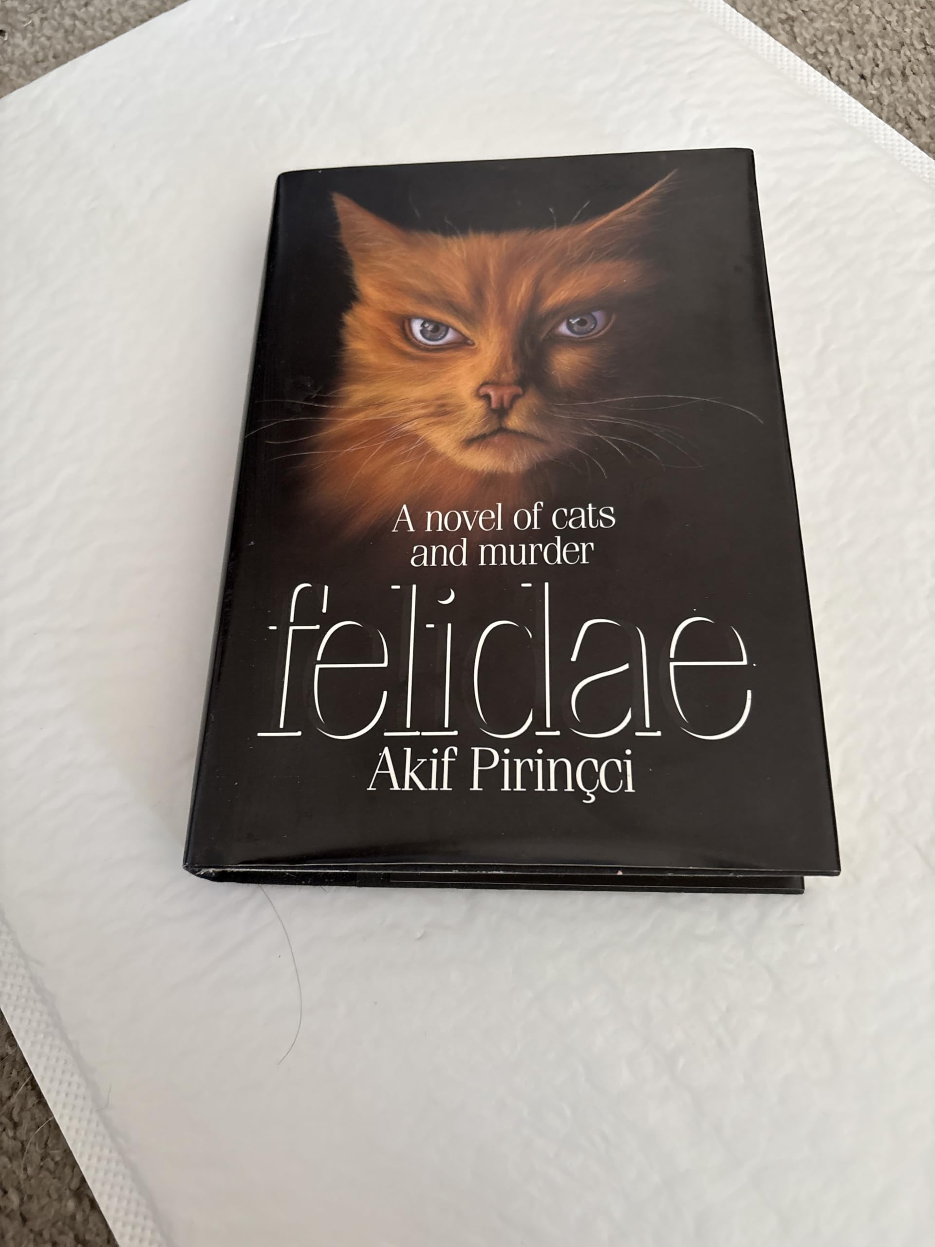Felidae