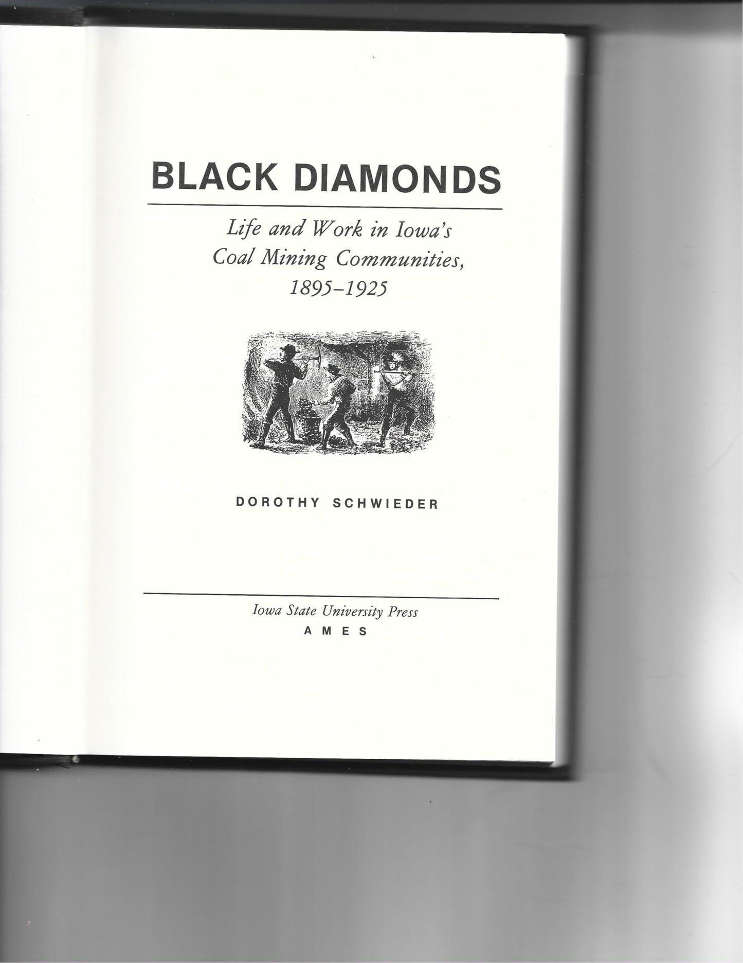 Black Diamonds: Life and Work in Iowa's Coal Mining Communities, 1895-1925