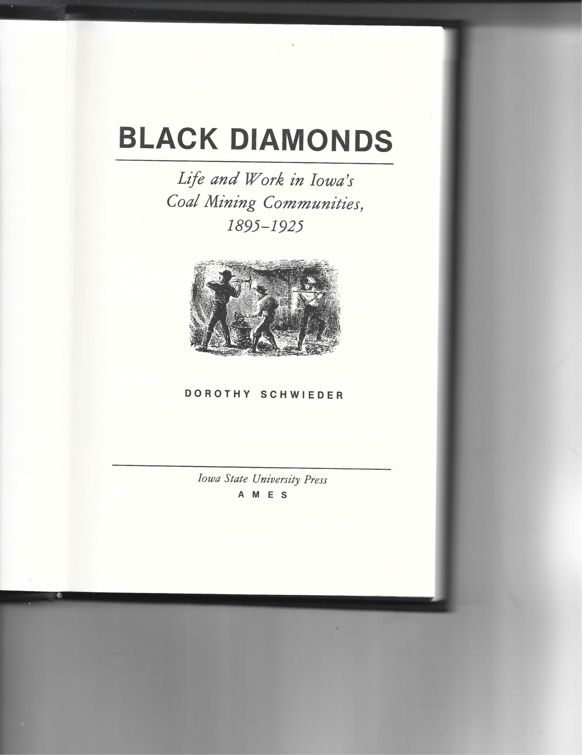 Black Diamonds: Life and Work in Iowa's Coal Mining Communities, 1895-1925