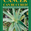 Cancer Can Be Cured!