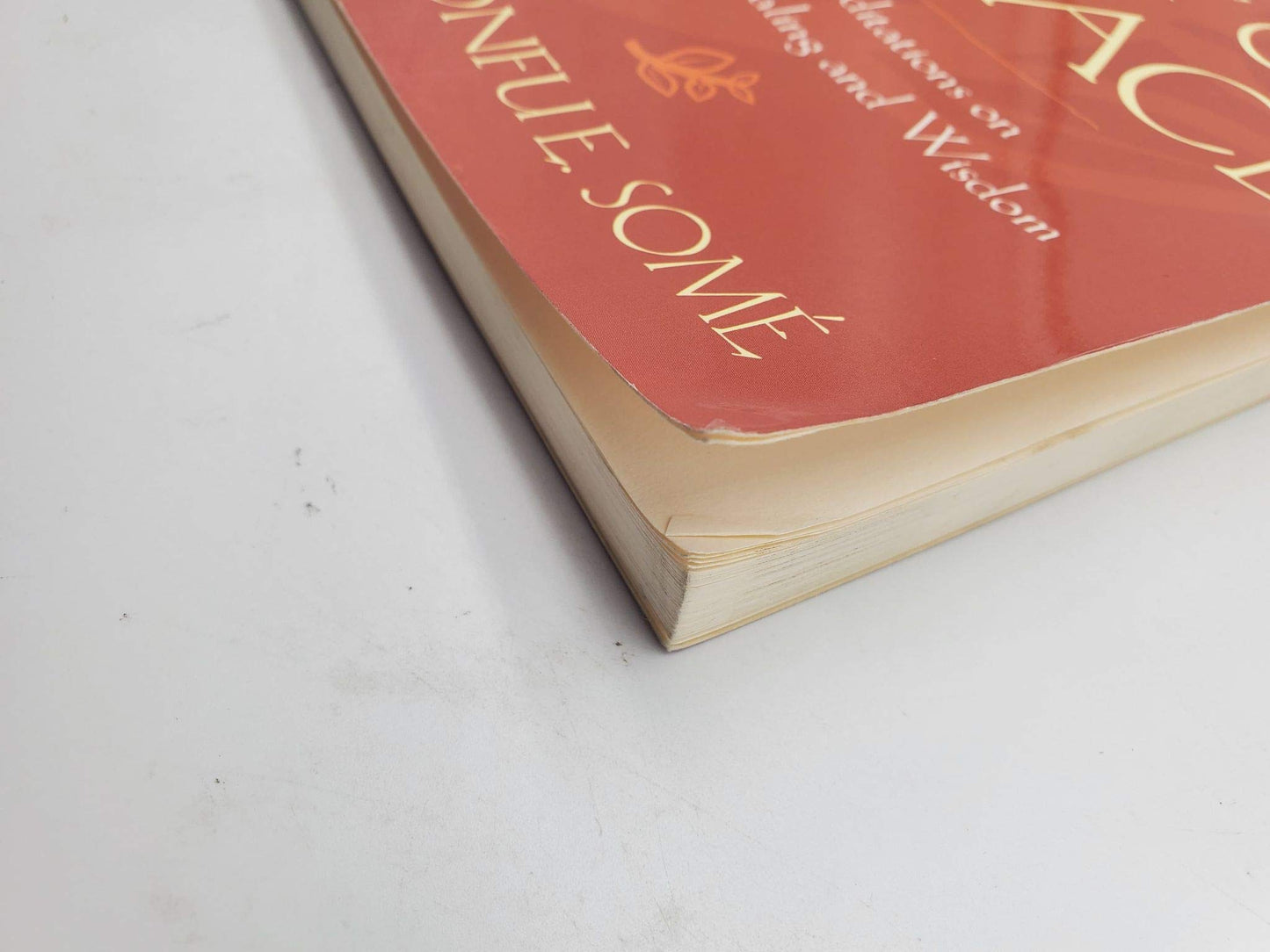 Falling Out of Grace: Meditations on Loss, Healing and Wisdom